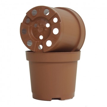 Kweekpot   carnifari