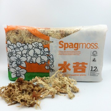 Spagmoss sphagnum   carnifari